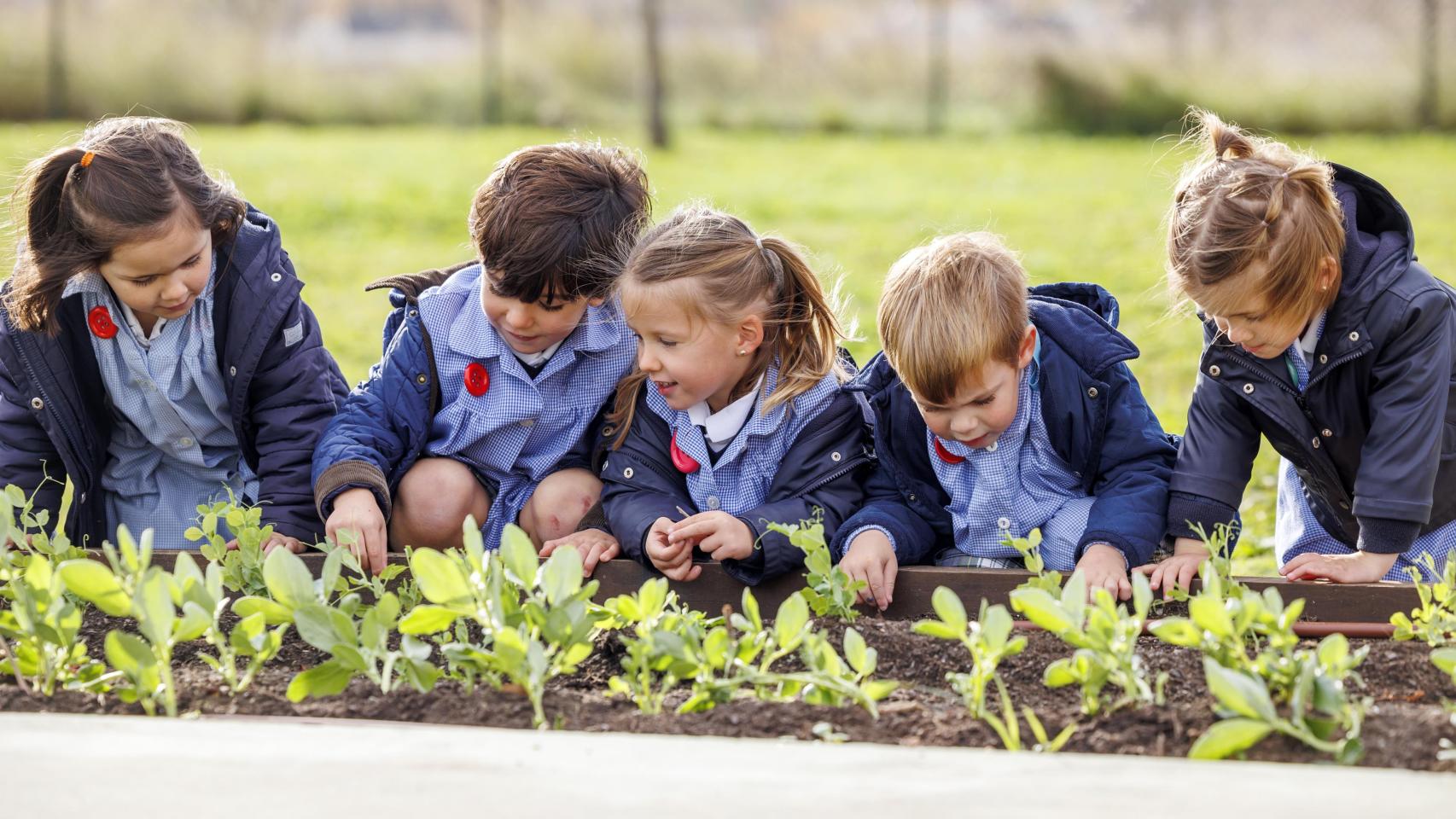 Colegio Alcaste-Las Fuentes (La Rioja).