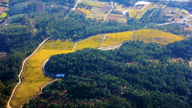 Una bodega gallega impulsa la primera planta de agrocompostaje de O Salnés (Pontevedra)