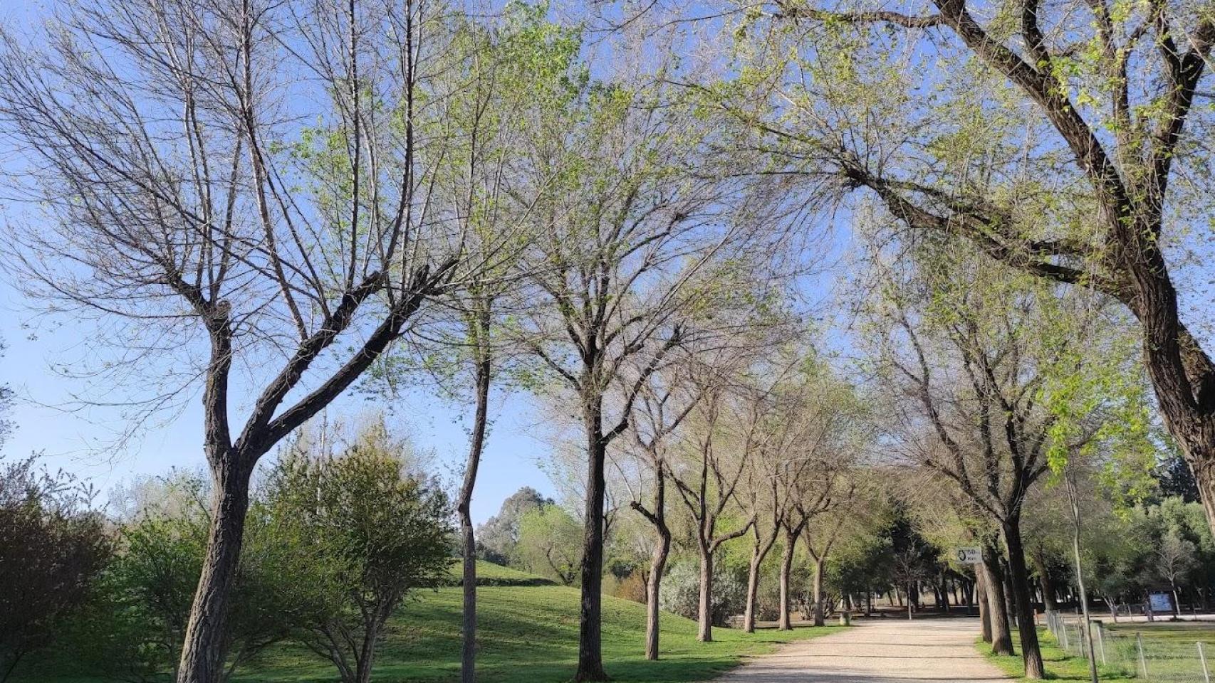 Un bulevar verde unirá Sevilla Este con Torreblanca en 2027 para reducir un 15% el tráfico en la zona