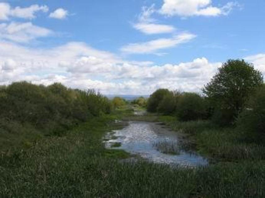 Canal de drenaje de la laguna. https://es.wikipedia.org