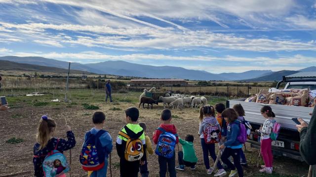 Las ovejas bombero de Trescasas en los colegios