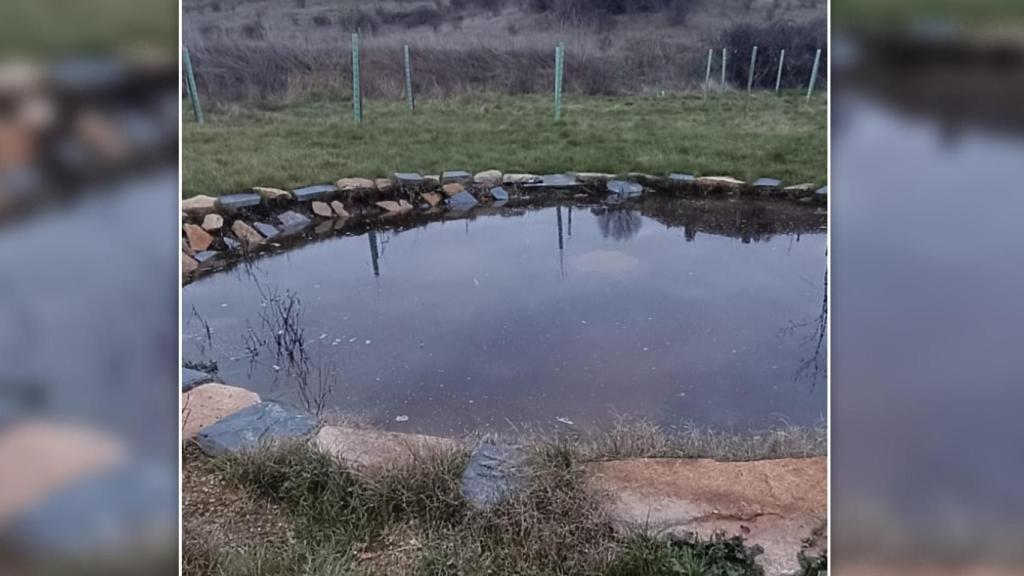 Las charcas del antiguo vertedero de la Hiniesta