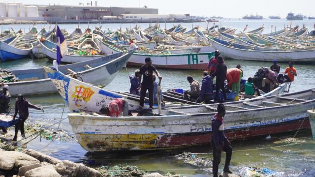 En el puerto artesanal de Nuadibú los cayucos se cuentan de mil en mil. Algunos son utilizados para pescar y, otros, cuando cae la noche, para transportar clandestinamente migrantes.