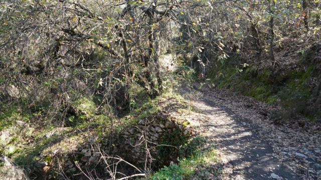 Sendero entre Cartajima y Júzcar.