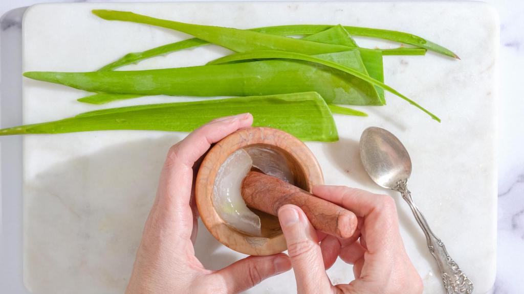 Aloe vera.