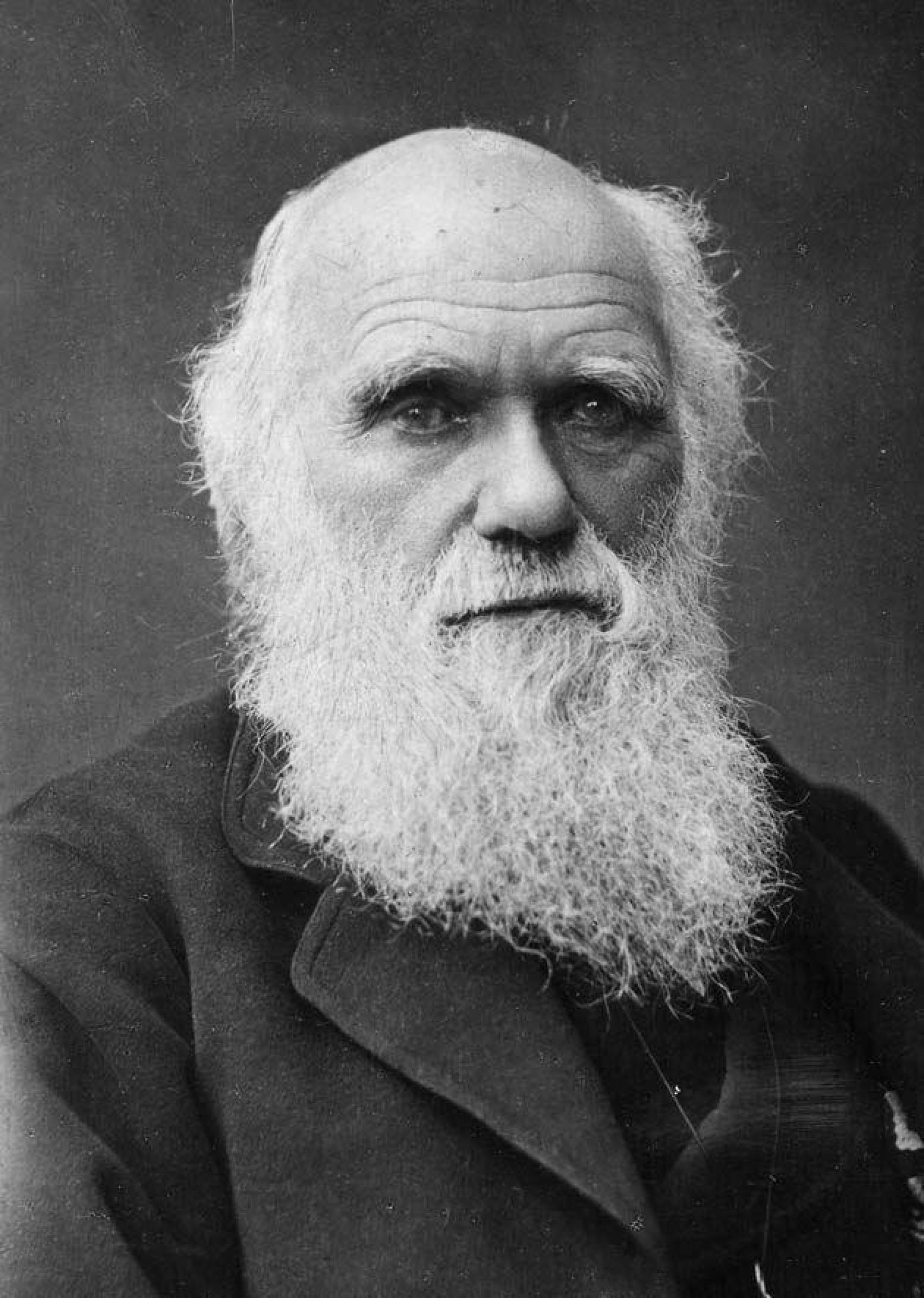 Charles Darwin. https://es.wikipedia.org