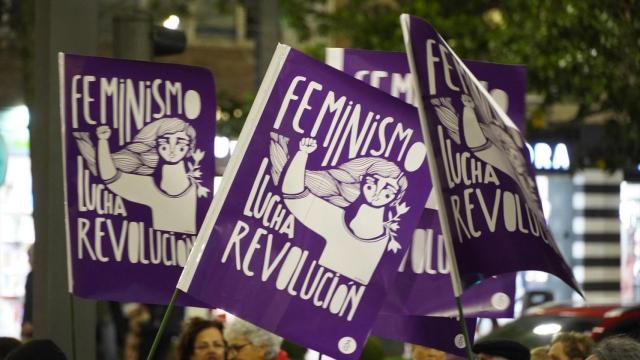 Manifestación en Logroño por el Día Internacional de la Mujer 2024.