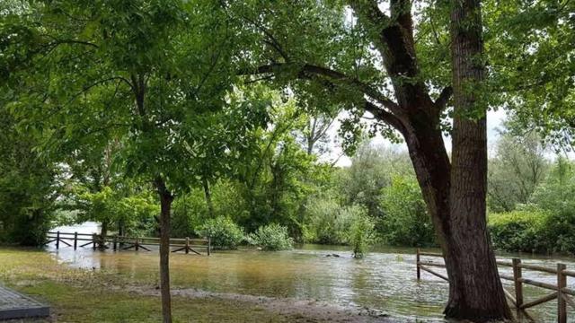 Crecida del río Alberche a su paso por Escalona (Toledo). Foto: Ayuntamiento.