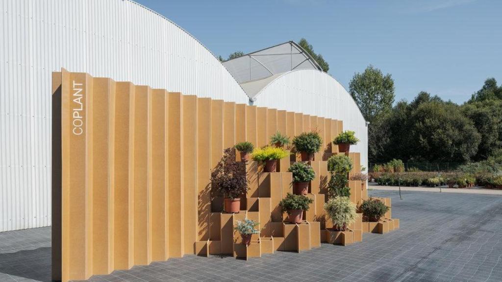 Stand Coplant