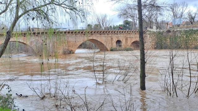 Crecida del río Henares a su paso por Guadalajara.