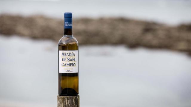 Etiqueta del Albariño Abadía de San Campio diseñada por Mariscal.