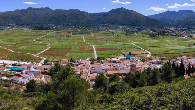 Viñedos de Xaló.