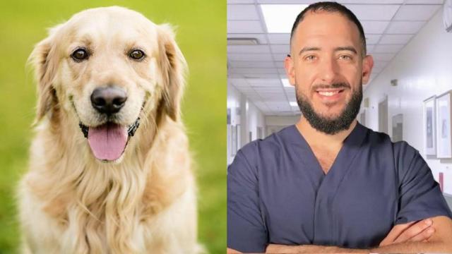 Víctor Bravo, médico endocrino y un perro.