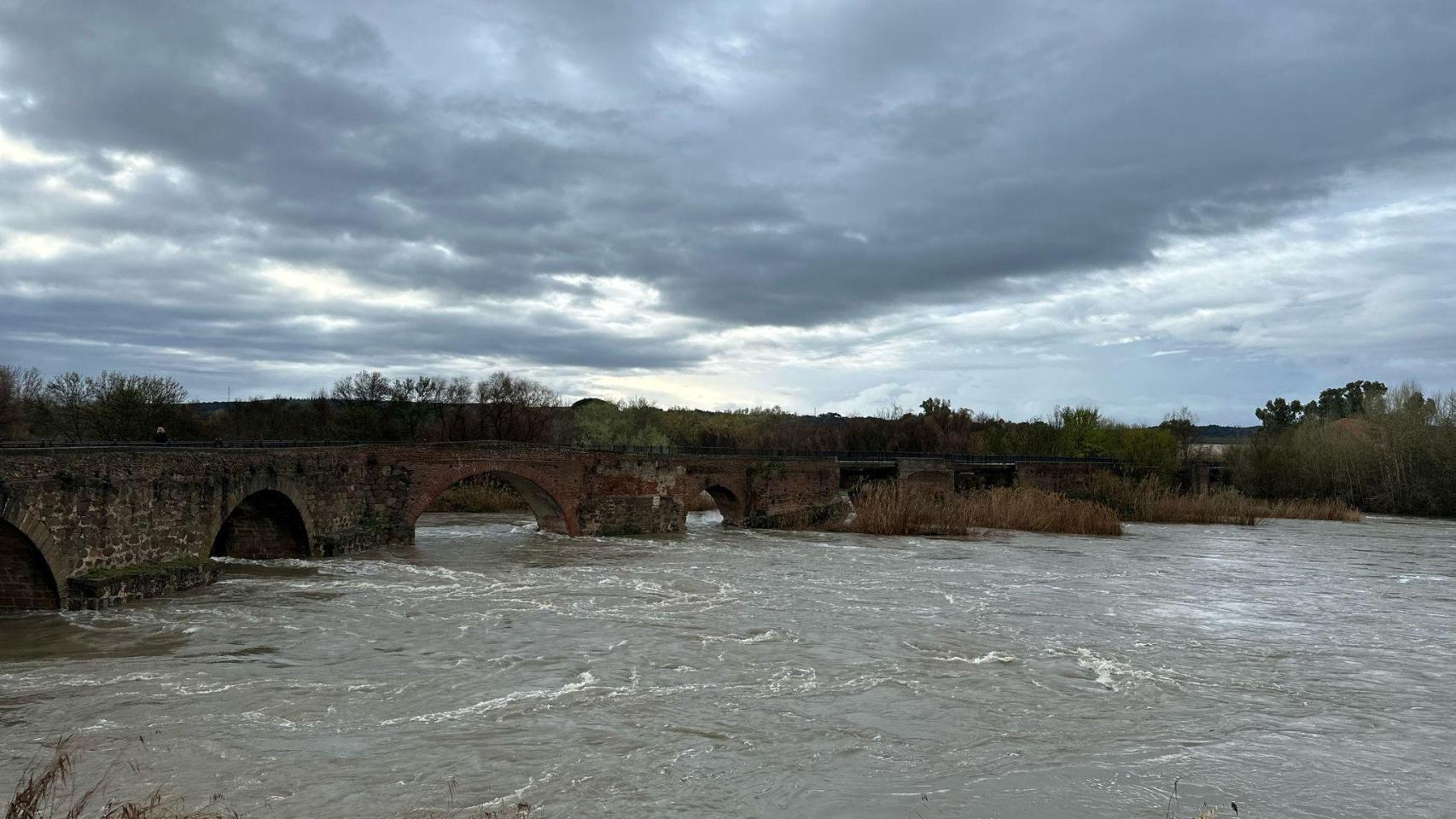 La crecida del Tajo alcanza la alerta roja en Talavera de la Reina y cierran la Universidad, cuatro institutos y tres colegios