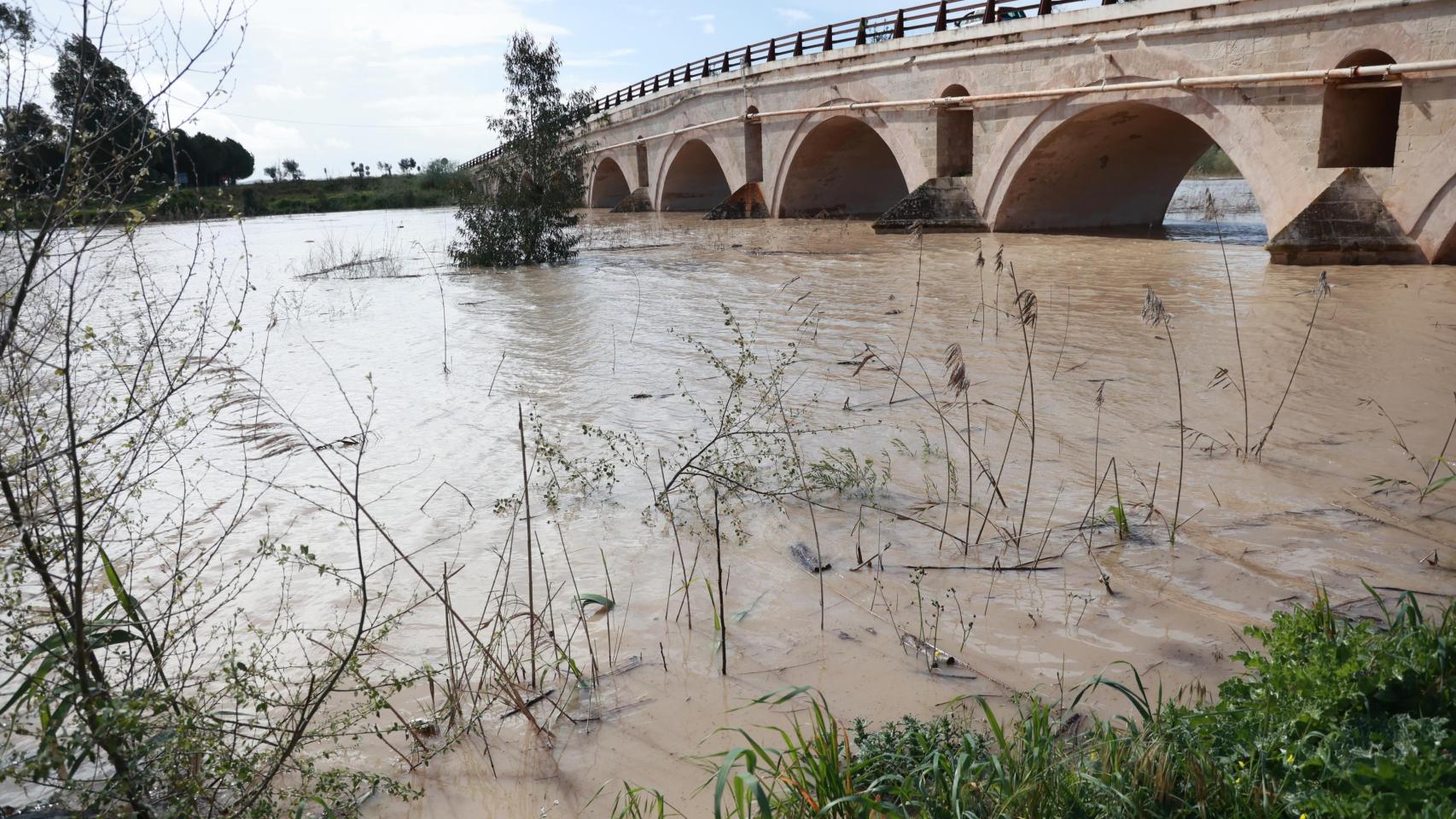 Desalojadas de forma preventiva 200 personas en Jerez ante la crecida del río Guadalete