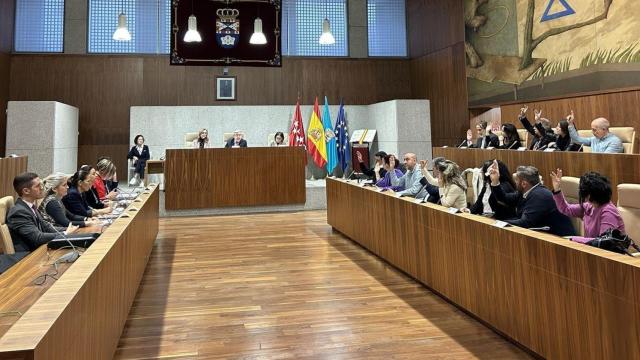 Pleno del Ayuntamiento de Leganés.