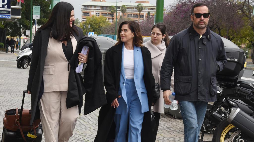 María León, llegando a los tribunales este viernes, día 14.