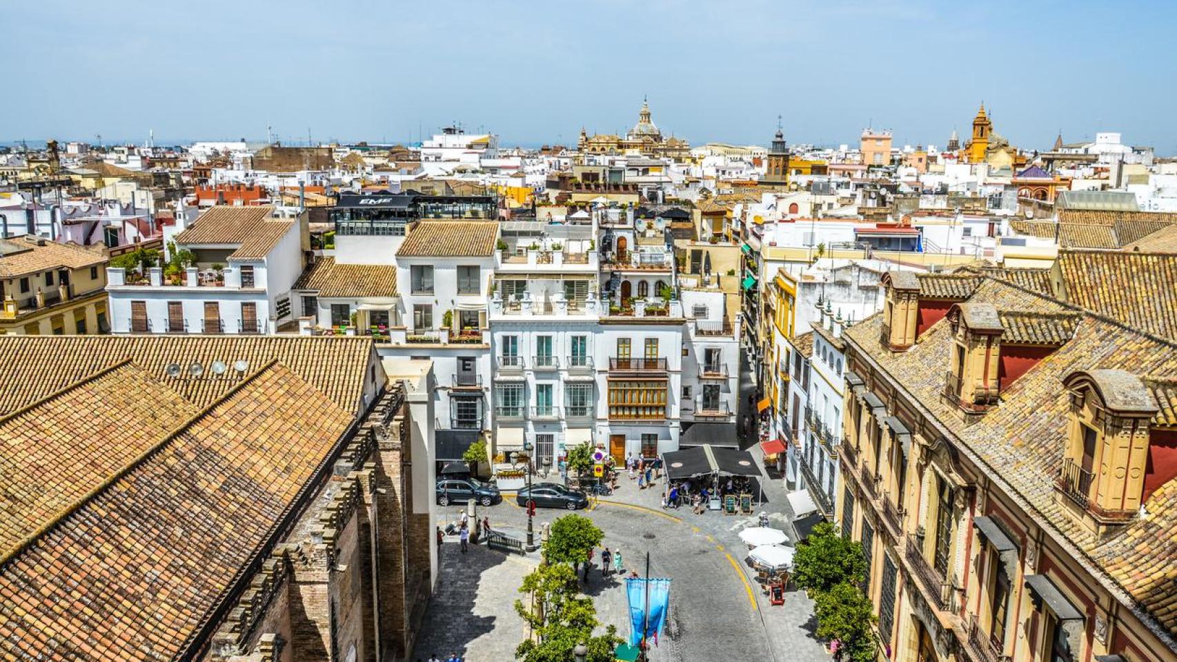 Esta es la zona que los jóvenes eligen para su etapa universitaria.