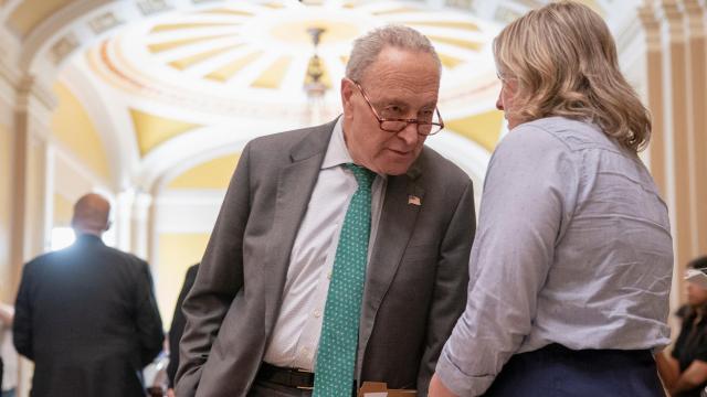 El líder de la minoría demócrata en el Senado, Chuck Schumer