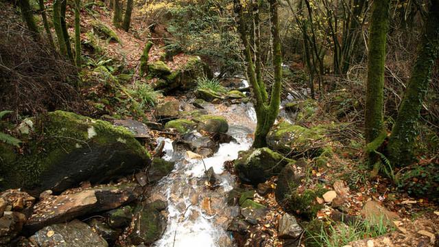 Senda del Agua