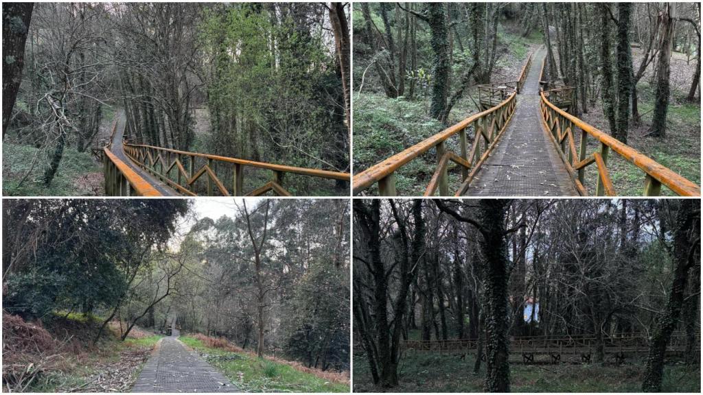 Bosque dos Veciños