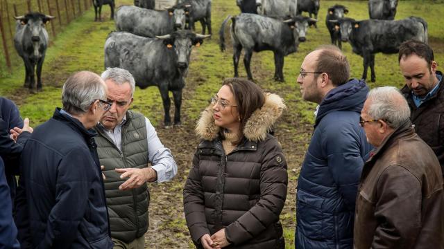 La consejera de Agricultura, Ganadería y Desarrollo Rural, María González Corral, inaugura las IV Jornadas Carne de Buey Morucho de Bellota.