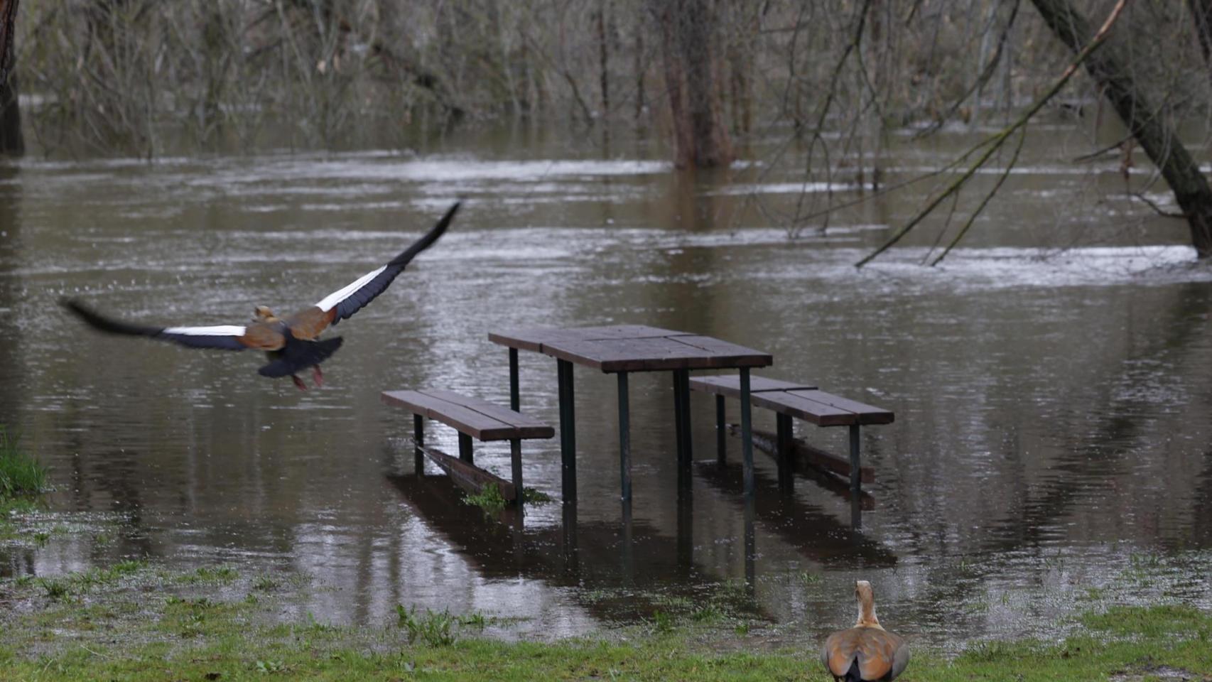 La borrasca Martinho no da tregua: la Aemet mantiene a media España con avisos por viento, lluvia, nieve... y olas