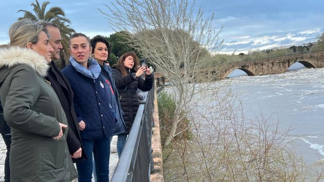 Las autoridades, observando este sábado por la tarde el río Tajo a su paso por Talavera.