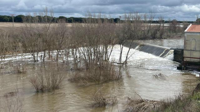 El río Adaja a su paso por Valdestillas (Valladolid)