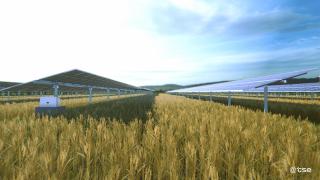 Un parque fotovoltaico de Soltec.