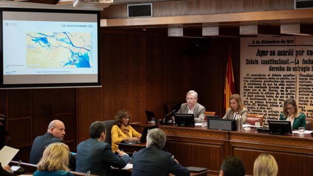 El catedrático de Ingeniería Hidráulica y Medio Ambiente de la Universidad Politécnica de València, Félix Ramón Francés, este lunes en el Senado.