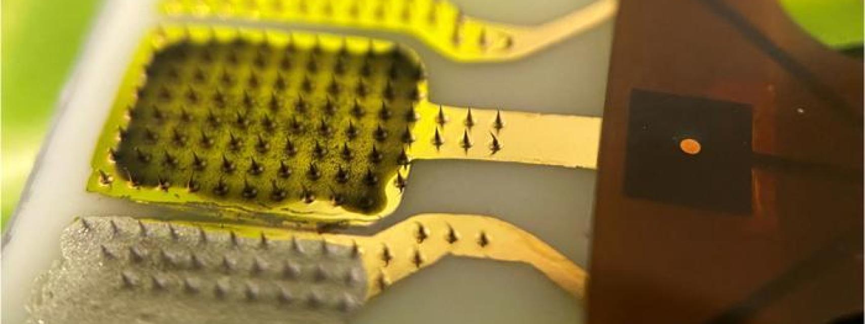 Parche para medir el estrés de las hojas de las plantas