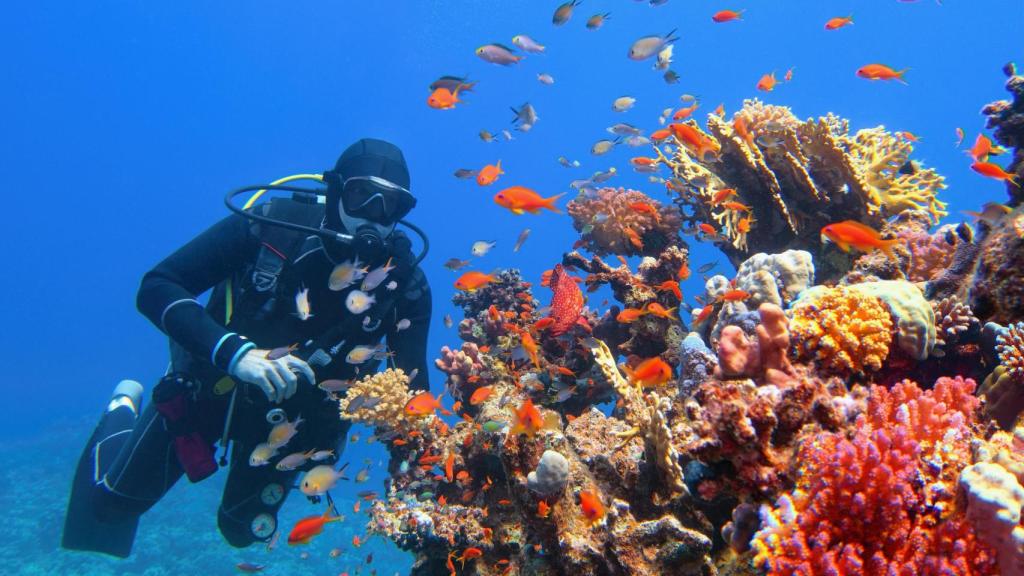 Gran Barrera de Coral.