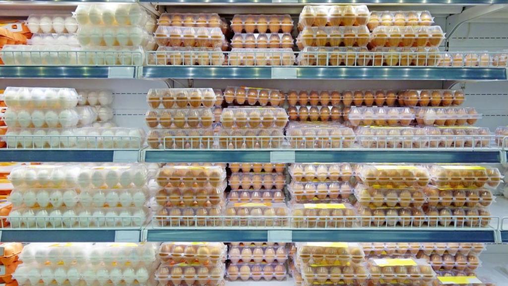 Un lineal de huevos en un supermercado.