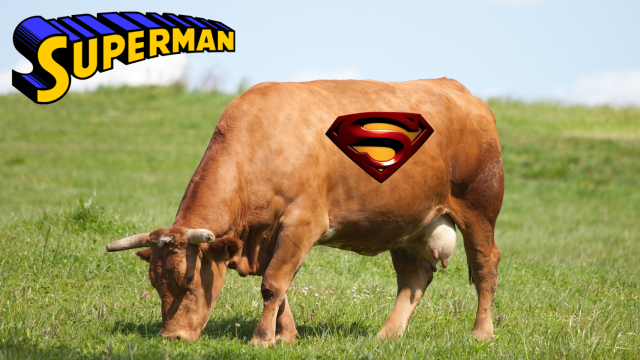 La Rubia Gallega de Superman