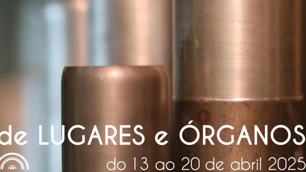 Cartel de la X edición del ciclo De lugares y órganos
