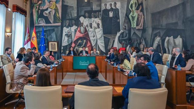 Pleno de la Diputación de Ciudad Real.