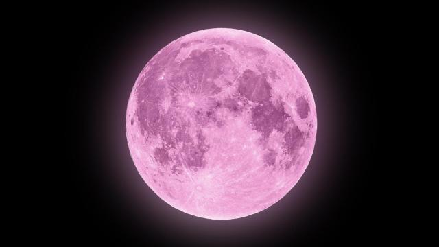 Luna rosa