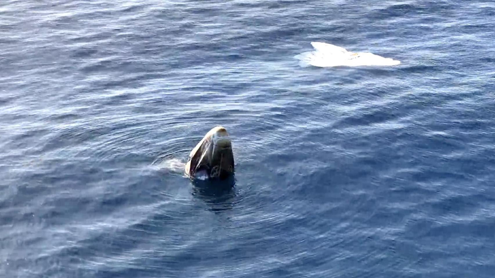 Vuelve a Tierra la misión Fram2 de SpaceX tras hacer historia orbitando sobre los polos durante casi cuatro días Vuelve a Tierra la misión Fram2 de SpaceX tras hacer historia orbitando sobre los polos durante casi cuatro días