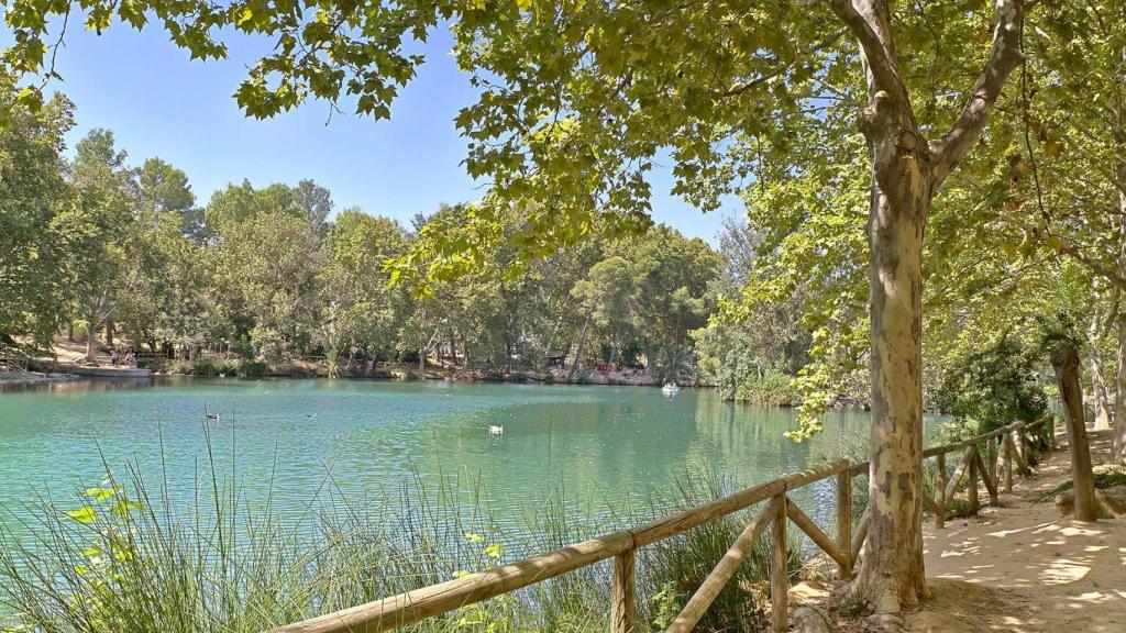 Naturaleza en Anna. CV