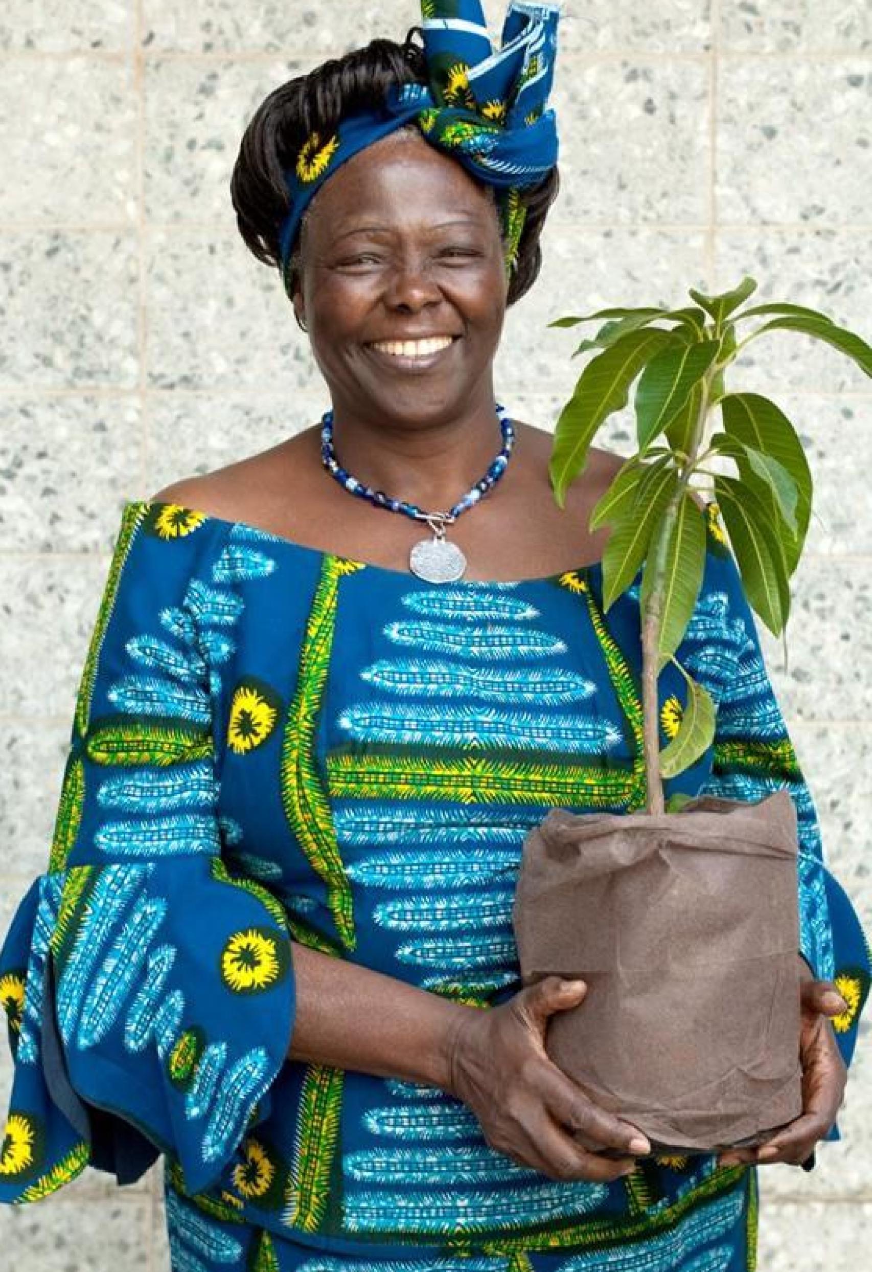 Wangari Maathai, fundadora del Movimiento Cinturón Verde.