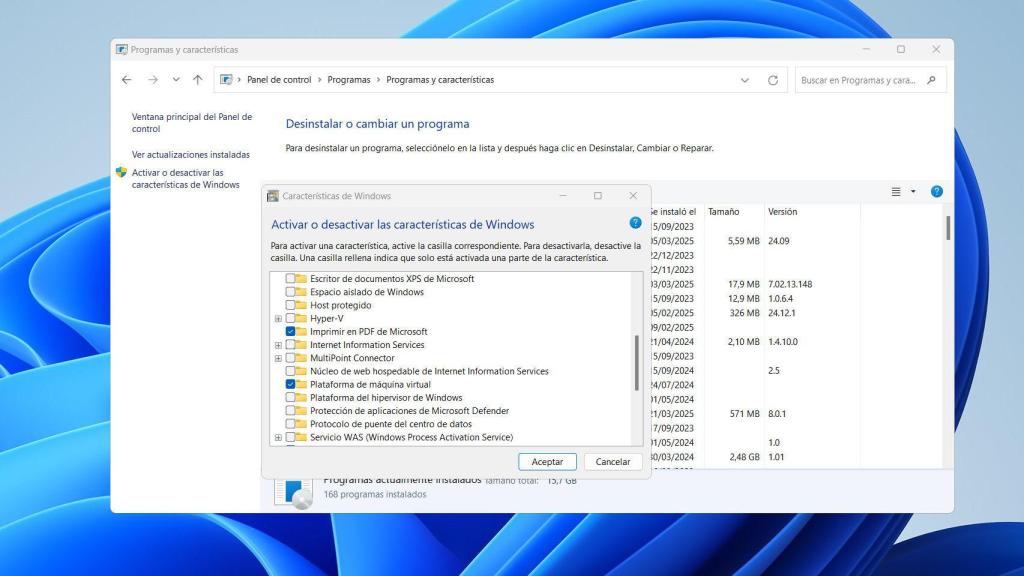 Instalación de los IIS en Windows 11 para recupear la carpeta inetpub