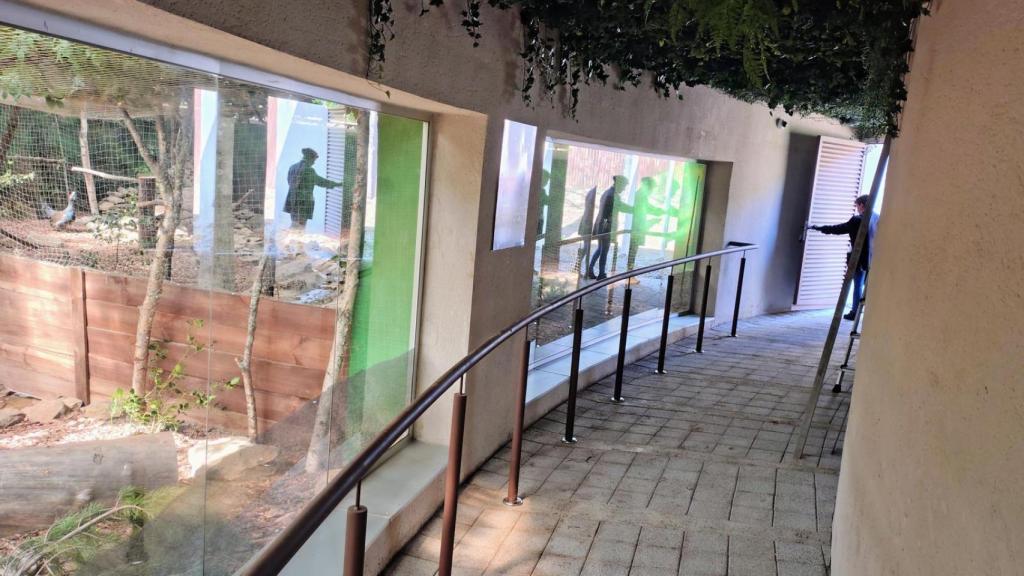 La zona para los visistantes en el voladero de urogallos