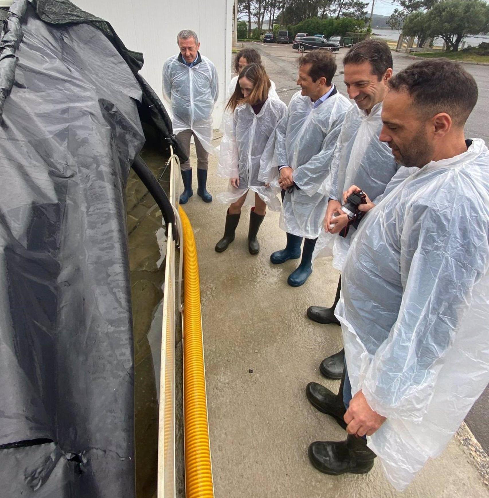 Alfonso Villares visita la planta de Aquacría Arousa en Cambados