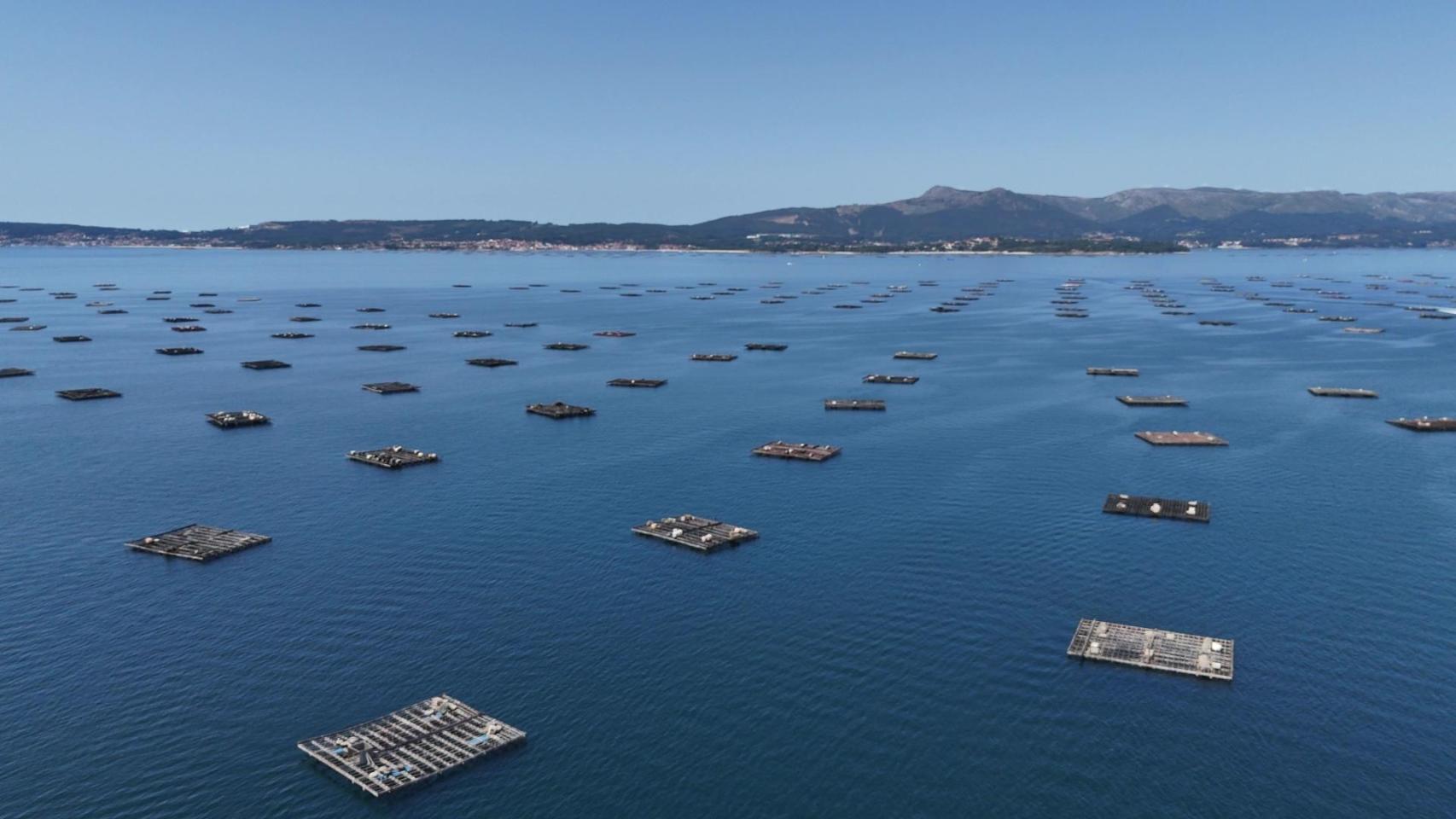 Ría de Arousa