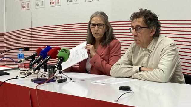 Los diputados del PSOE por Ávila María del Carmen Iglesias y Raúl Blanco