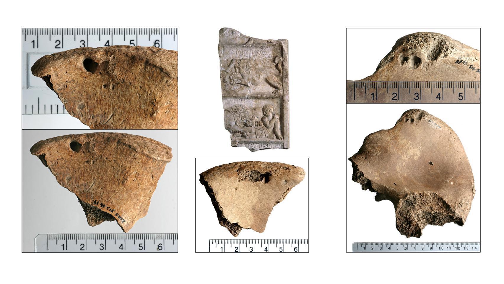 Hito en la arqueología del Imperio romano: hallan al primer gladiador devorado por un león en combate