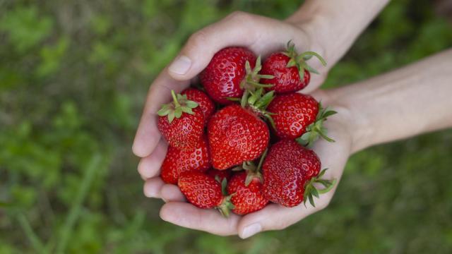 Un puñado de fresas