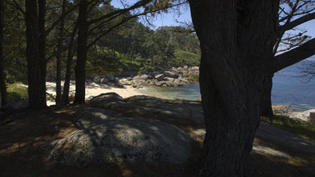 Entorno natural de la playa de Pedrón en Bueu (Pontevedra)