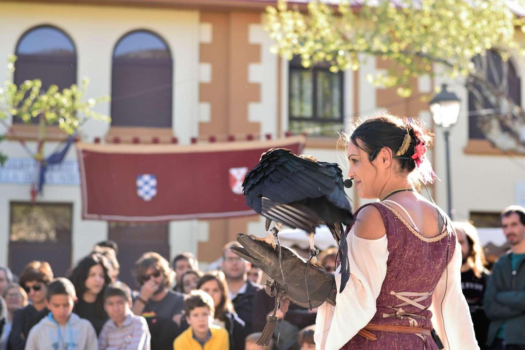 Imagen de archivo de un espectáculo de cetrería celebrado durante el Mercado Medieval de La Adrada